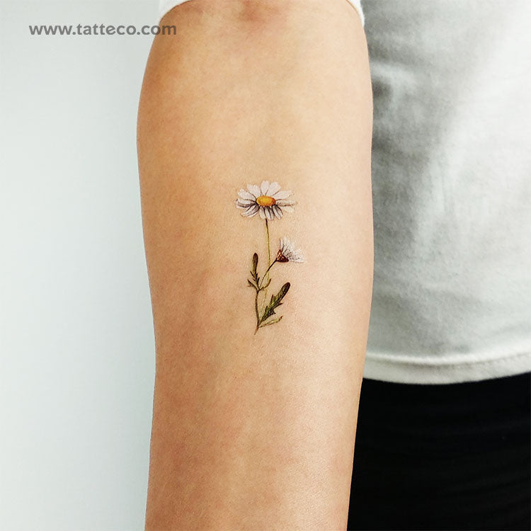 Watercolor Daisy Temporary Tattoo - Set of 3 – Tatteco